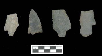 Late Archaic period (2500-1000 BC) Ledbetter spearpoints.