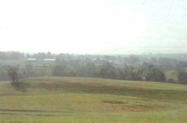 Photograph of the Amburgey site.