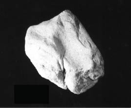 Twenty-pound abrading stone.