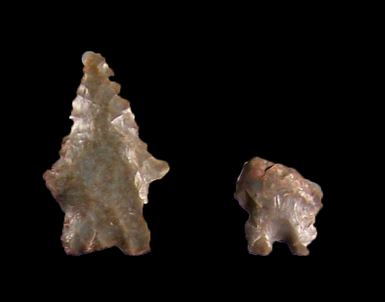 Early Archaic Bifurcate Base Cluster spearpoints.