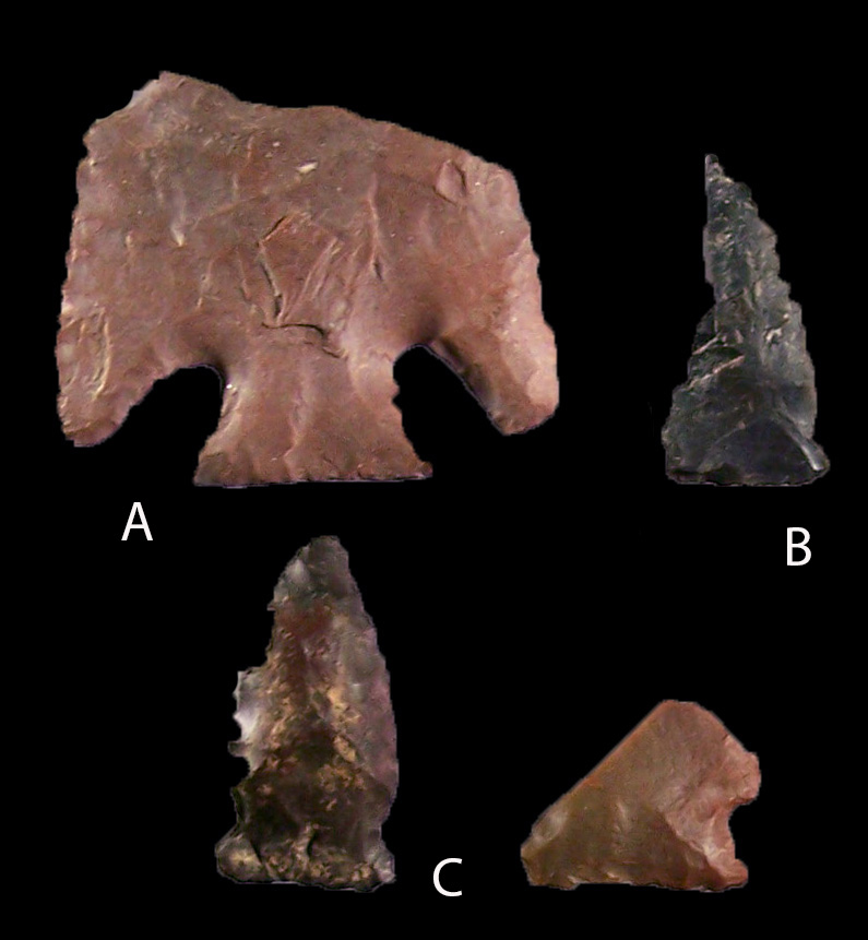Tools: Thebes (A) and two Brewerton Cluster (C) spearpoints; Type 5 (B) Madison Fine Triangular arrowhead.
