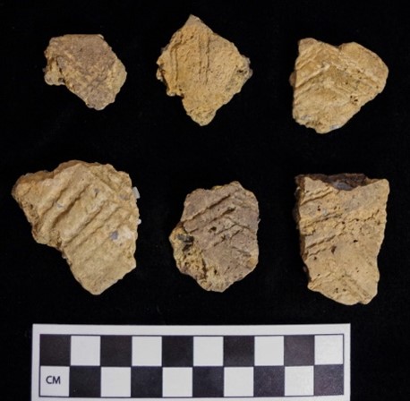 Rim and body sherds decorated with cord-impressed, nested chevrons