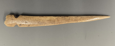 A bone awl, a sharp piercing tool.