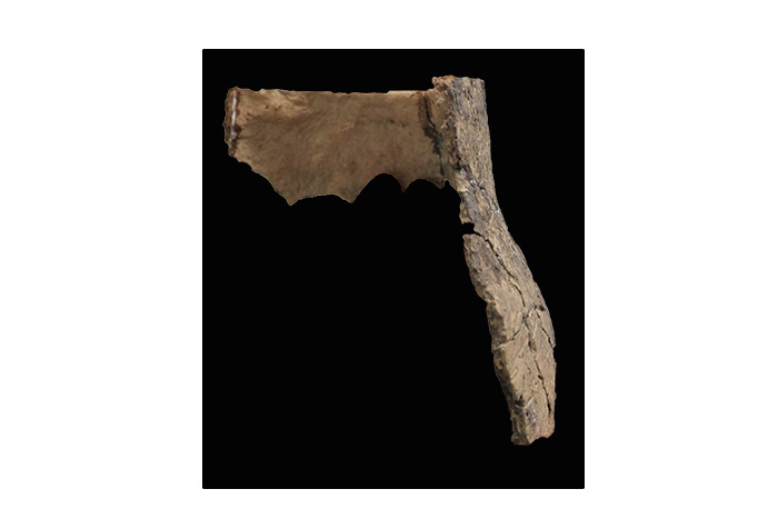 Profile of the reconstructed jar.