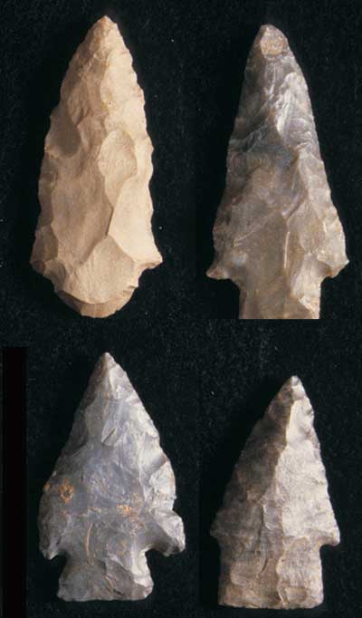 Late Archaic spear points from the site.