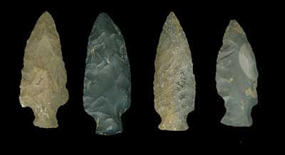 Late Archaic Stemmed McWhinney spear points.