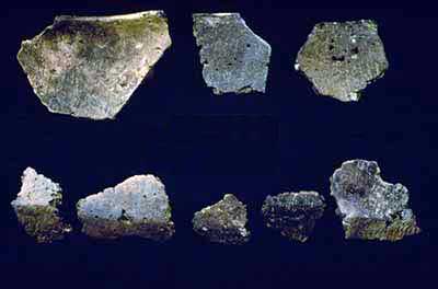 Fragments of distinctive Late Woodland angular shouldered jars: rims (top row) and shoulders (bottom row).