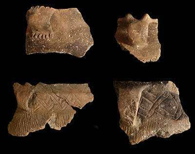 Jar rims from the site:  Mississippian (top row); Fort Ancient (bottom row).