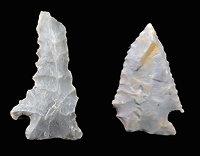 Two Early Archaic spearpoints. The one on the left has been heavily resharpened.