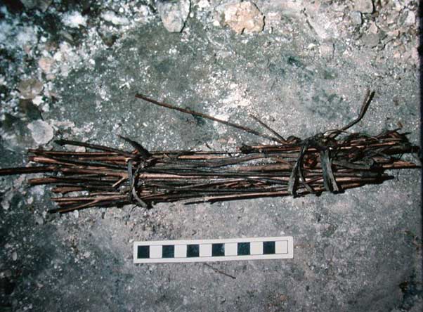 Cane torch recovered from an archaeological site