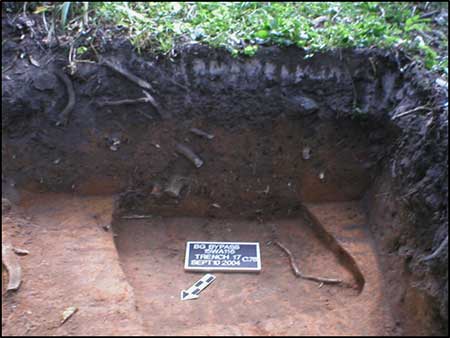 The remains of a pit cellar for a slave house.