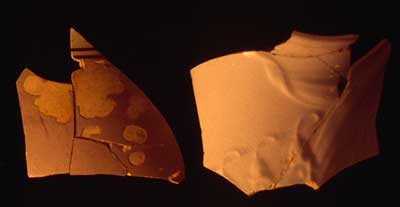 Yellowware (left) and molded ironstone (right) recovered from Site 15Es89.