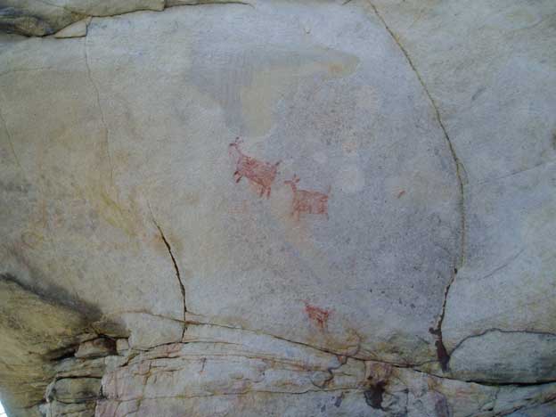 Deer pictographs painted with red pigment.