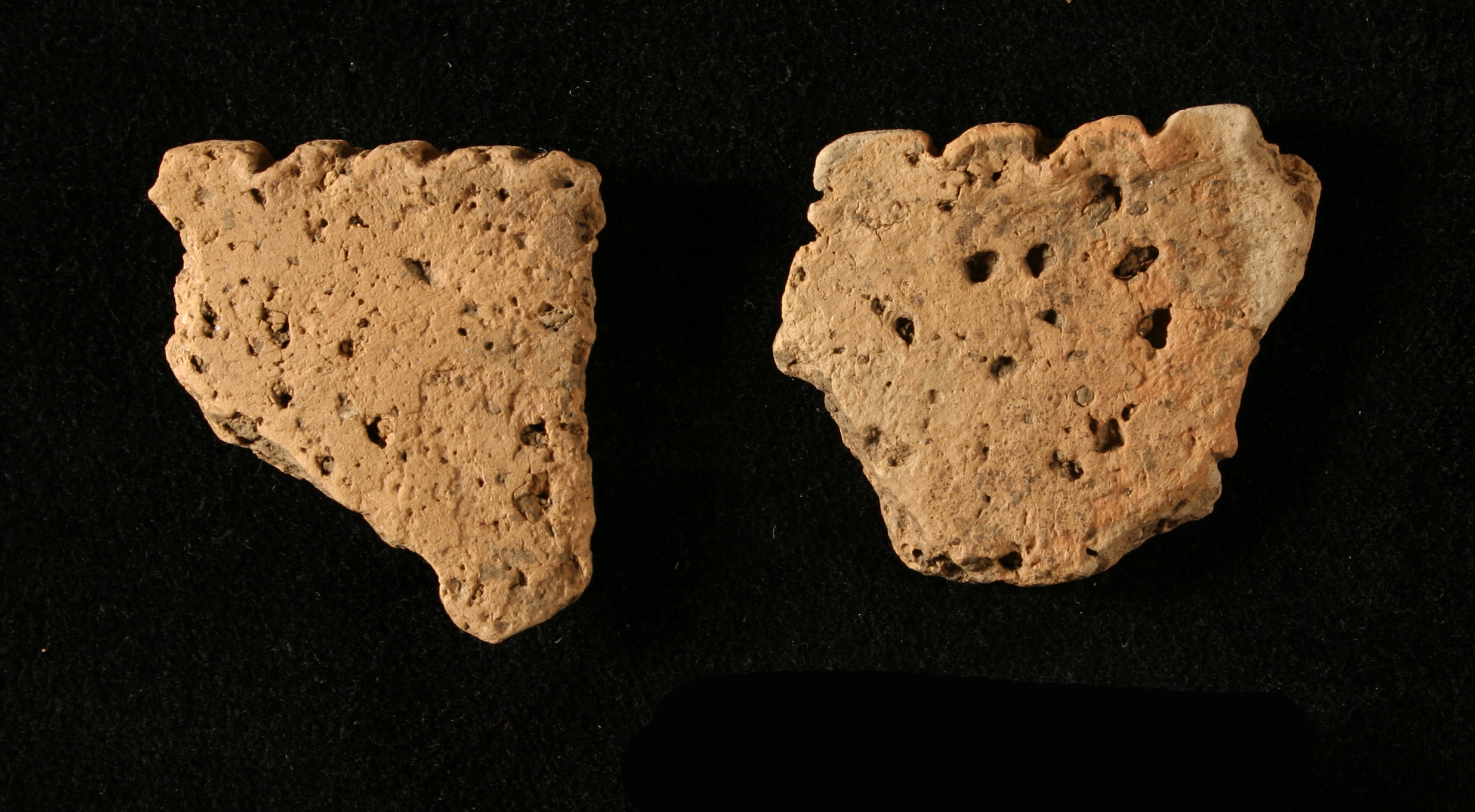 Late Woodland period vessel rims with notched lips.