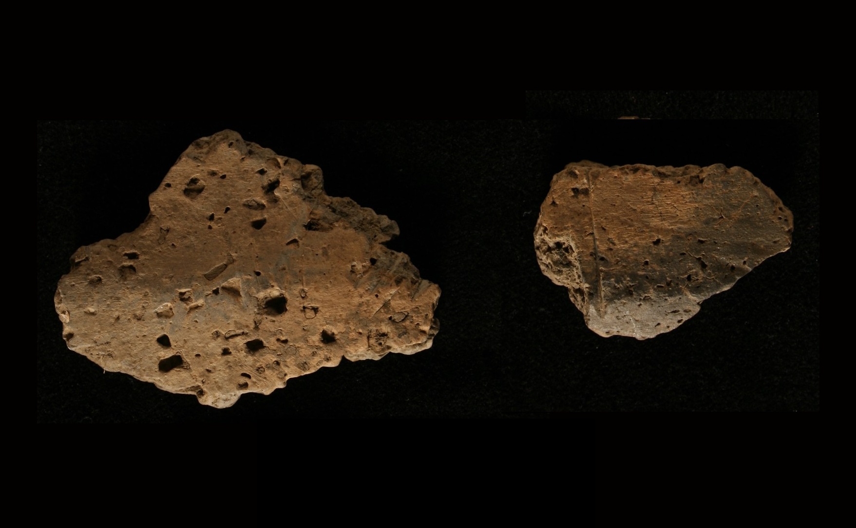 Fragments of angular shoulders from Late Woodland jars.