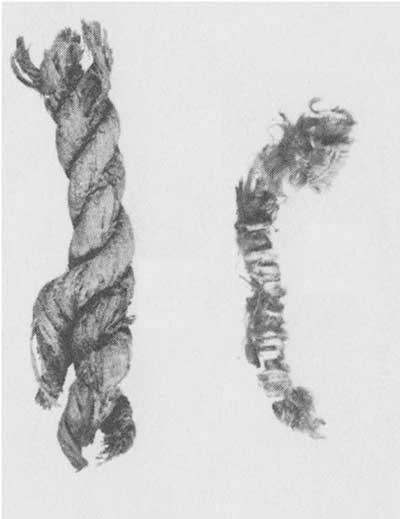 Cordage fragments: Z-twist, two ply (left); feather wrapped (right).