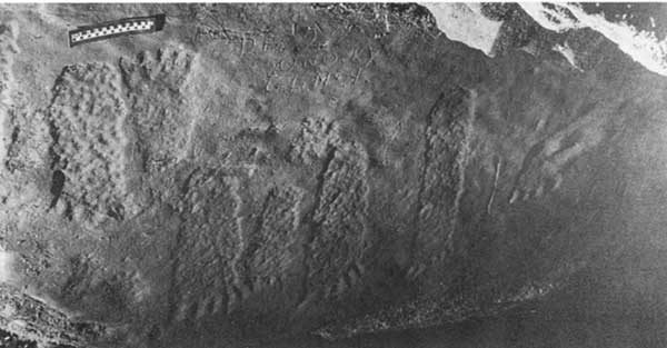 Photograph of eight foot petroglyphs.