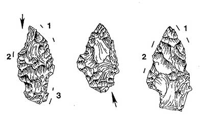 Drawings of bifaces. Arrows/lines and numbers show where analysts found microscopic use wear.