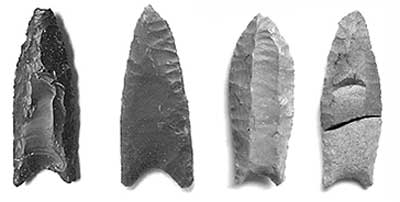 Fluted Paleoindian spear points: from left to right - two Gainey and two Cumberland examples.