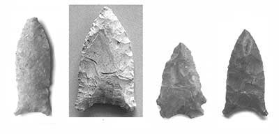 Unfluted Paleoindian spear points: from left to right - Beaver Lake,  Quad, Hardaway, and Dalton examples.