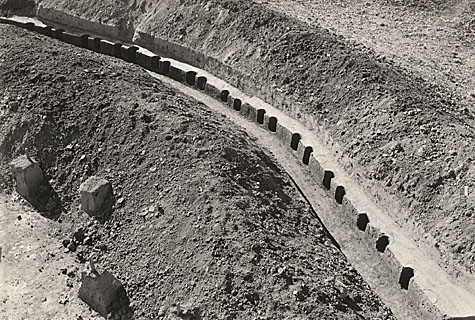 Excavated posts surrounding the flat central interior area of Mt. Horeb Earthwork. 