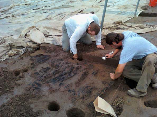 Archaeologists expose burned posts from a collapsed wall.