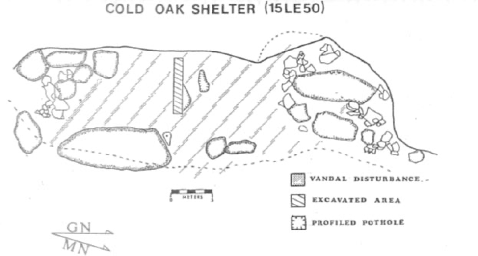 Site map showing excavation units, boulders, and looter disturbance.