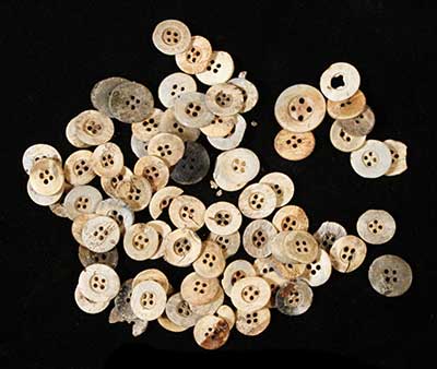 Burned bone buttons from cellar.
