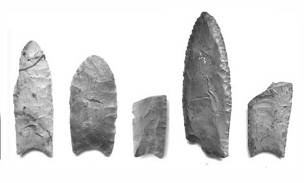 Clovis points from Marion County